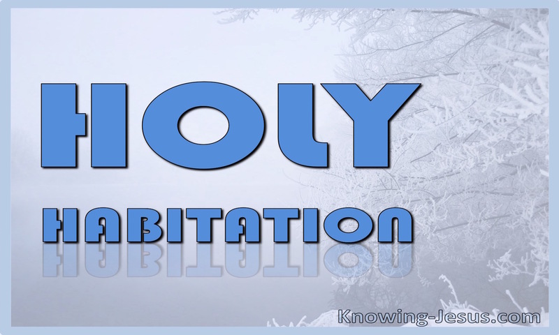 Holy Habitation (devotional)12-13 (blue)